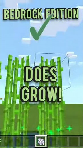 You Can't Bonemeal Sugarcane in Java Edition!? #Shorts