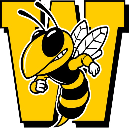 Football Game Preview: Wasatch Wasps vs. Payson Lions