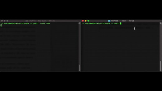 深入理解计算机系统 第十一章 TinyWeb