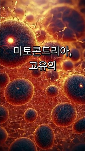 細胞の発電所「ミトコンドリア」が独自のDNAを持つ理由