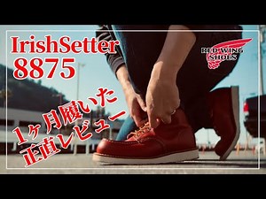 [RED WING] Irish Setter 8875 Review: Wearing it Every Day