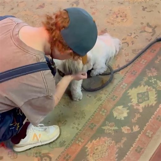 20K views · 27 reactions | Cavetown on Reels | Facebook