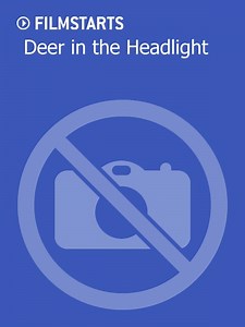 Deer in the Headlight