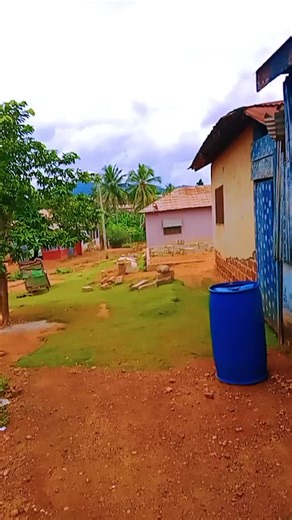 Danni boy (@danni.boy66)’s videos with son original - une bonne connaissance