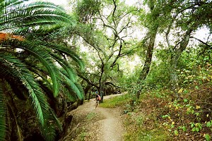 Kit Carson Park Hiking Trail | Hidden San Diego