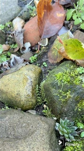 My secret garden quest 694 #rockeries #borders #tidyup