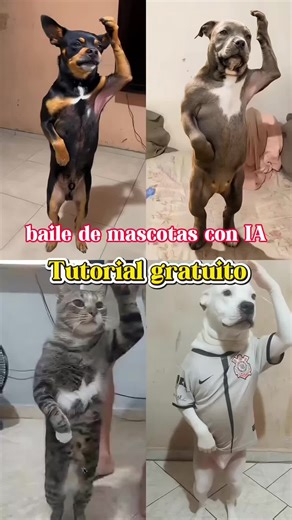 cómo hacer el viral video de perro bailando con ia? el método es súper fácil y totalmente gratuito #capcut #capcutpioneer dancing dog ai prompt, dog dancing chinese,dog dancing chinese tutorial,tutorial on how to do the dancing dog,dog dancing tutorial ai cachorro dançando ia Dogs Having Some Fun como fazer o vídeo de ia dançando,leleto records dance tutorial,ia videos bailando efecto,brazilian funk dance trend,vovó dance in brazilian plantilla,como hacer la ia bailando,jamal tutorial,jamal danç