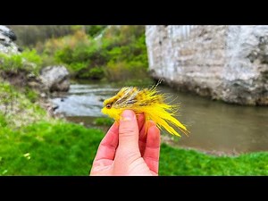 Streamer Fishing SMALL Creeks For Brown Trout! (Pa Trout Fishing)