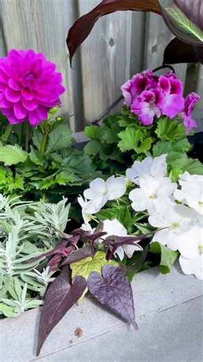This Rectangular Planter is Giving DRAMA 😍 Ultimate Summer Build