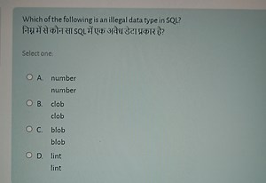 Which of the following is an illegal data type in SQL? निम्न मे... | Filo
