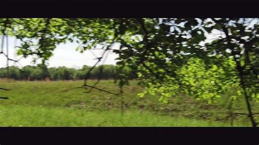 Rites of Spring | movie | 2011 | Official Trailer