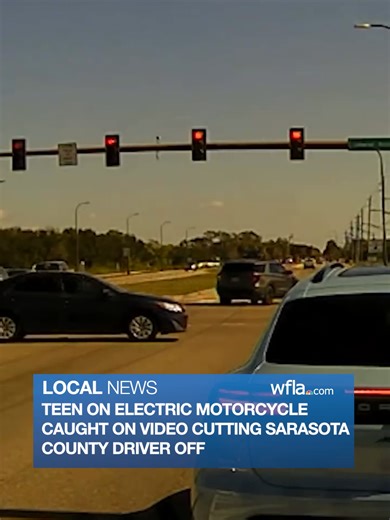 "WHAT IS WRONG WITH YOU?" Sarasota County deputies said they have seen...