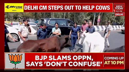 4.6K views · 65 reactions | Stray cows force Delhi CM Rekha Gupta's convoy to make an emergency stop. #NewsToday Rajdeep Sardesai #ITVideo | India Today | Facebook