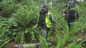 Catching elk poachers with unique sting operation