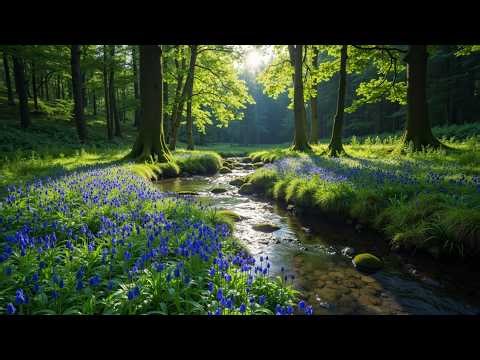 Tranquil Forest Stream & Birdsong for Deep Sleep-Nature's Soothing Water Sounds