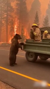 One Wildfire Scene Broke The Internet | Denzel Colt