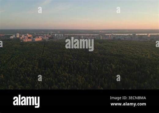 City Skyline Beyond Forest At Dusk, Planner Drone Capturing Urban Fringe And Riverfront For Infrastructure. Clip Stock Video Footage - Alamy