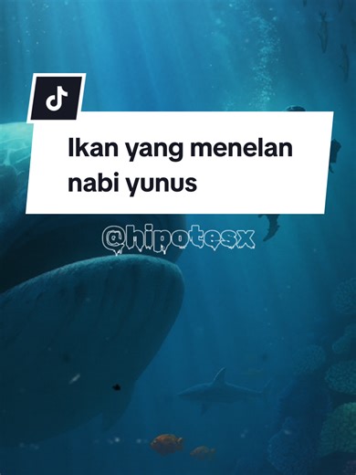 Misteri Ikan Nun dalam Kisah Nabi Yunus