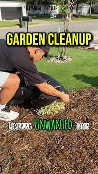 Will this be the answer to my garden problem?!? #killzall #diy ‪@PETRATOOLS‬ #ad #weeding