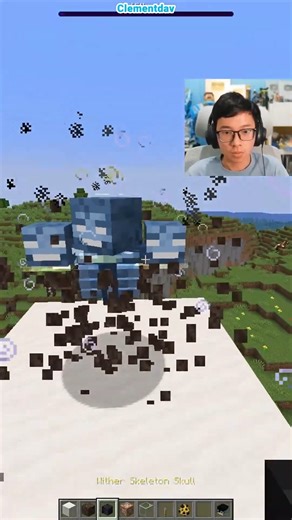 Minecraft Bees VS Wither 🤯 | Compot