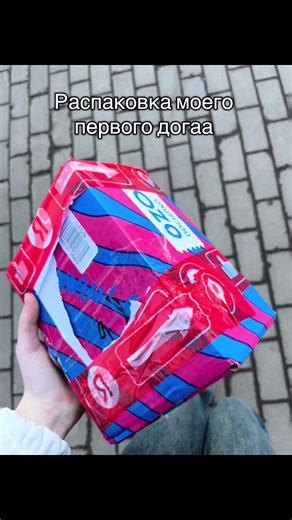 Unboxing My First LPS Dog: Review and Collection Check