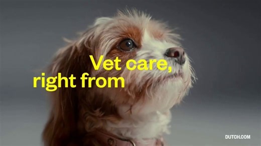 Dutch TV Spot, 'Vet Care from Home'