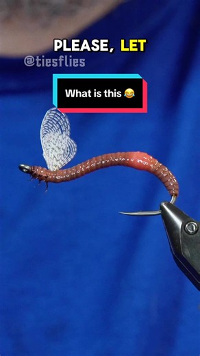 This is actually pretty cool 😅 Hook: Mustad bend back sz 2 Thread: TheFlySmith 32D gsp champagne and brown Underbody: TheFlySmith 600D worm thread Body: TheFlySmith latex earthworm brown Resin: UV Craft Wings: Mallard Legs: Golden pheasant center tail fibers Tools: TheFlySmith #flytyingaddict #flytying #flytyingjunkie #theflysmith #flytyingtutorial