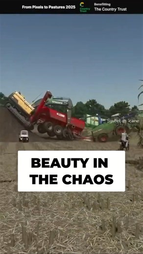 It's Chaotic & Beautiful