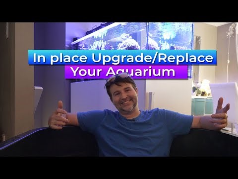 Upgrading / Replacing an Aquarium in place