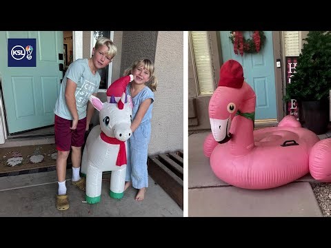 Tinsel the cow brings holiday cheer—and a little mischief—to Eagle Mountain