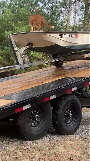 Blitz checking out 11' Boston Whaler