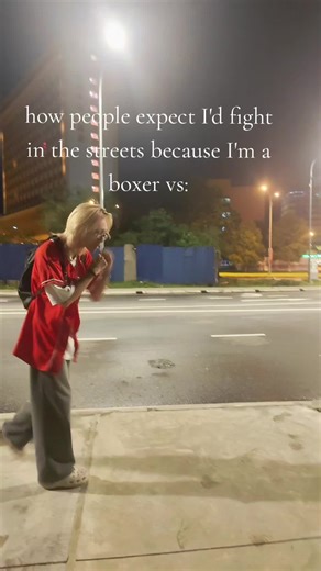 Boxer Street Fighting Expectations vs Reality