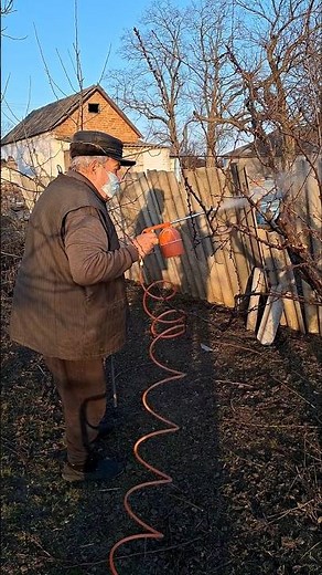 Tree Spraying Routine | Simple Orchard Work for Healthy Fruit Trees #garden #lawn #lawncare #yard