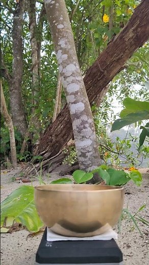 Sleep with Singing Bowl Frequencies
