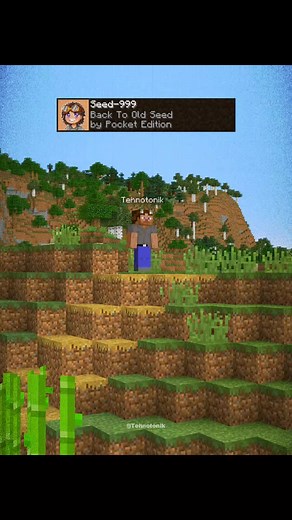 Minecraft 999 Nostalgia seed moment #minecraft