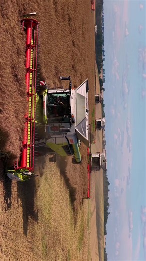 Claas Lexion 8900TT Harvest Team in Action