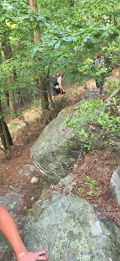Trail crew built some quality stone steps here