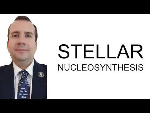 STELLAR NUCLEOSYNTHESIS