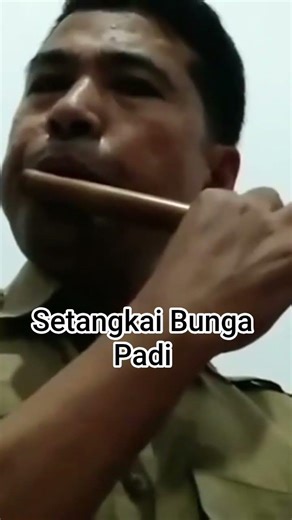 Setangkai Bunga Padi #sulingbambu #sulingcover #sulingdangdut #alatmusikbambu #dangdut #music
