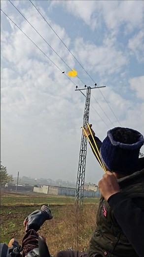 Birds Hunting Amazing shot #hunting #birds #slingshot #shorts #ytshorts #huntingbirds #birdshunt