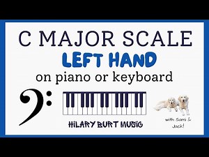 How To Play C Major Piano Scale 2 Octaves Left Hand | Correct Fingering | Play Along With Me