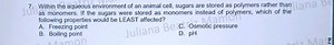 Within the aqueous environment of an animal cell, sugars are st... | Filo