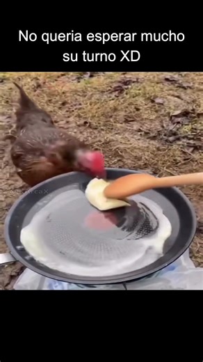 Ya quería que le toque su parte en la cocina... #memes