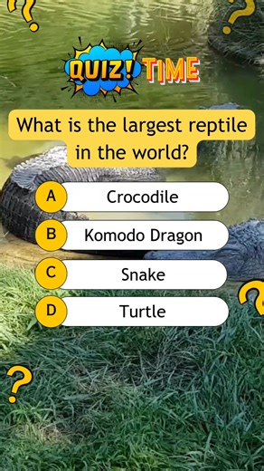 What is the largest reptile in the world? #quiz #quiztime #quizreels #popquiz #triviaquiz #generalknowledgequiz #braingame #educational #trivia #funfacts | Kaboom Quiz
