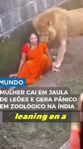 Woman Slips Into Lion Enclosure During Zoo Visit in India 🦁😨