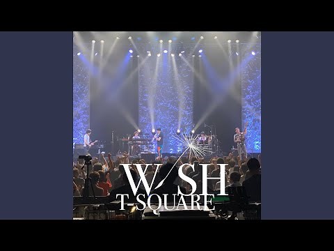 Leave Me Alone (Live)