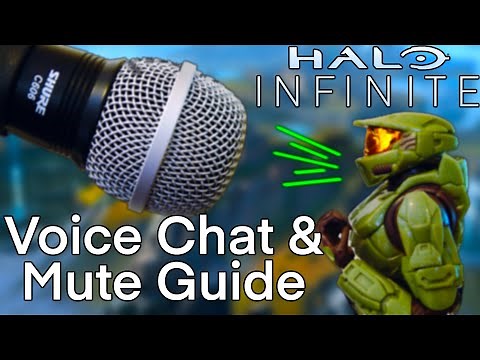 How to Voice Chat and Mute in Halo Infinite (PC Guide)