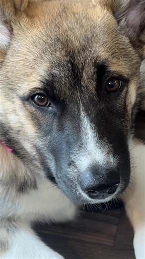 Exploring Venezuelan Culture and Heritage