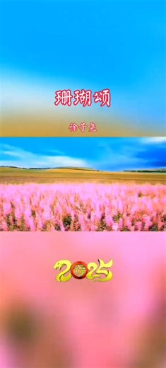 徐子尧《珊瑚颂》完整版mv。刀郎北京演唱会现场版。中国歌曲，经典歌曲，流行歌曲，热门歌曲。适合做背景音乐bgm。