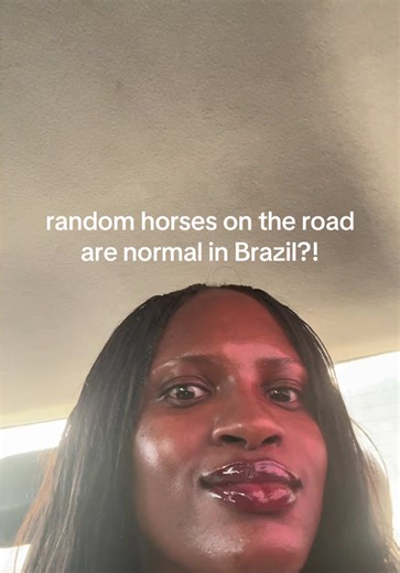 Exploring Brazil: Surprising Encounters on the Road